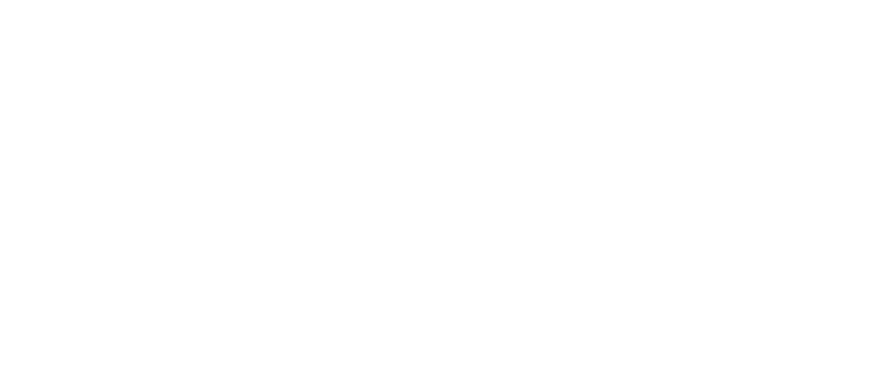 DNS解锁 - 快速小猴